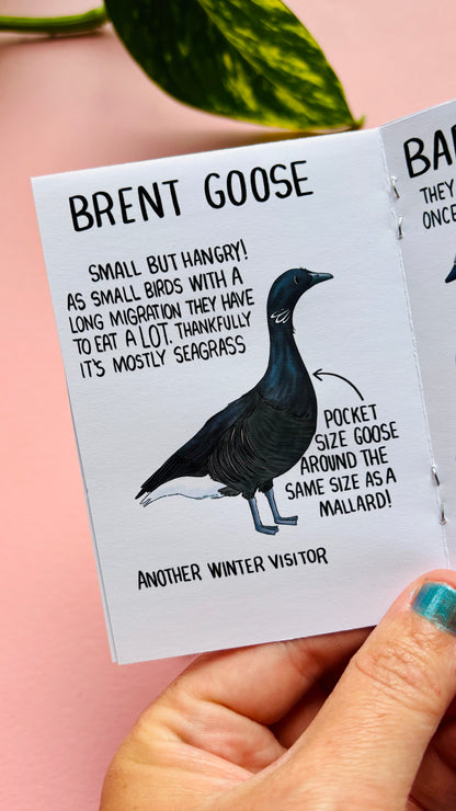 It’s not just a goose zine- a funny guide to common British geese