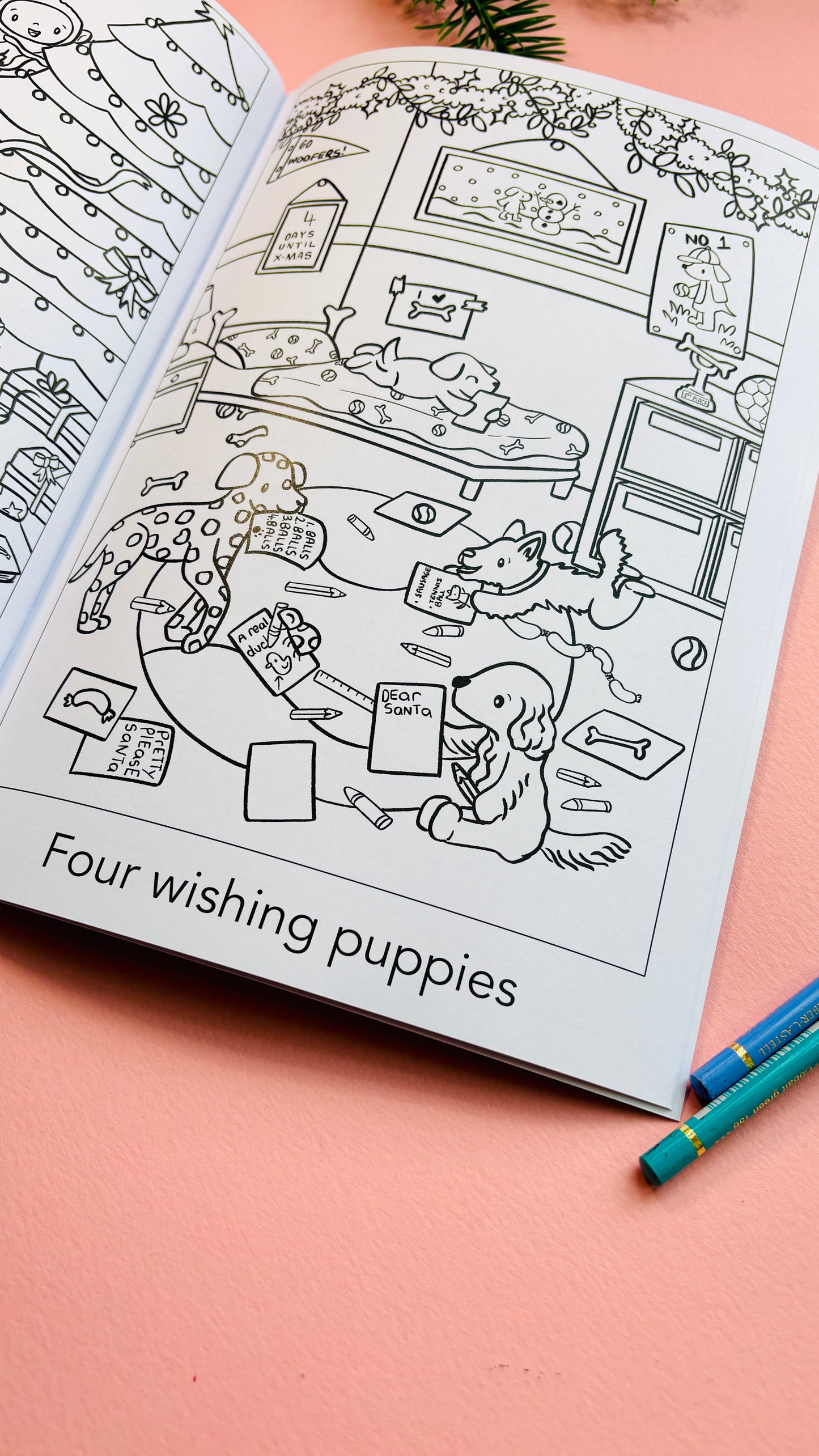 Twelve days of Christmas: a festive activity book