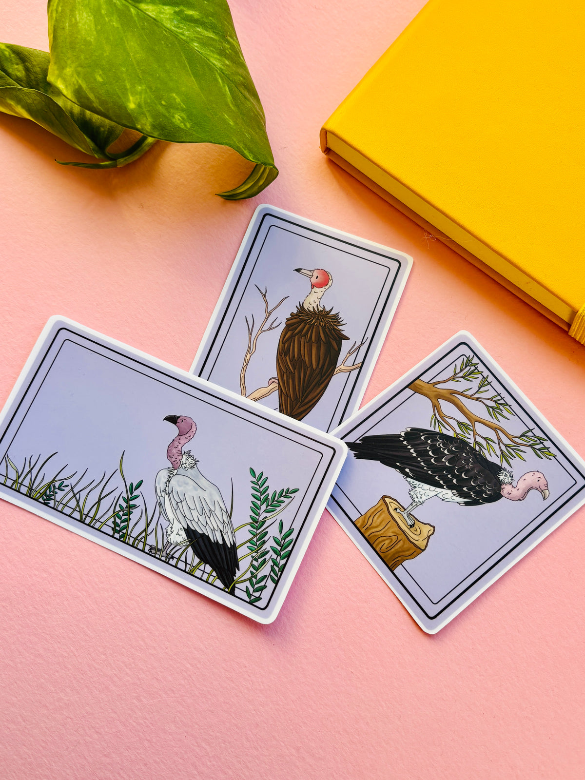 African Hooded Vulture Illustrated Waterproof Sticker- Nature Stationery