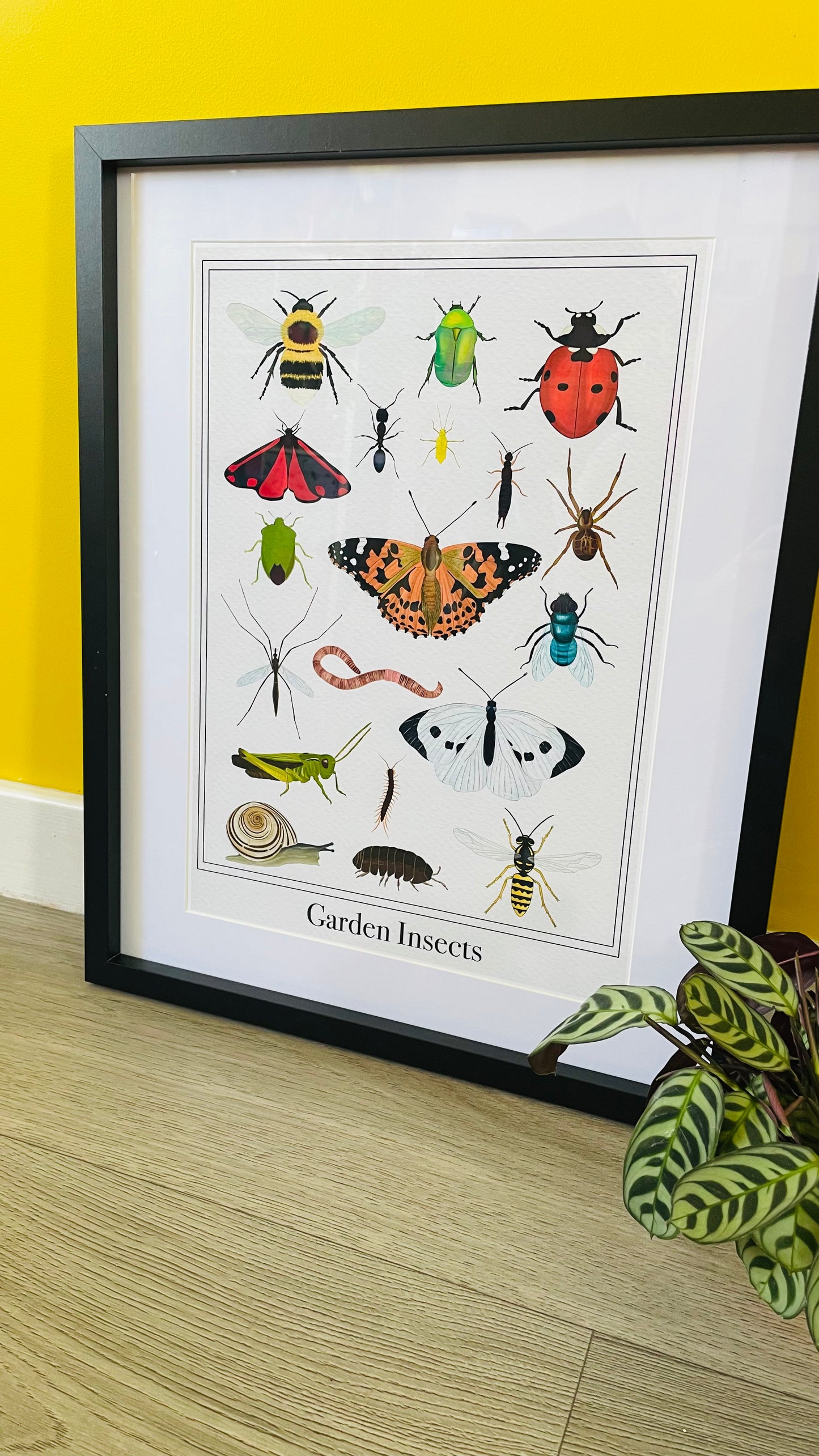 Garden insects original art print 