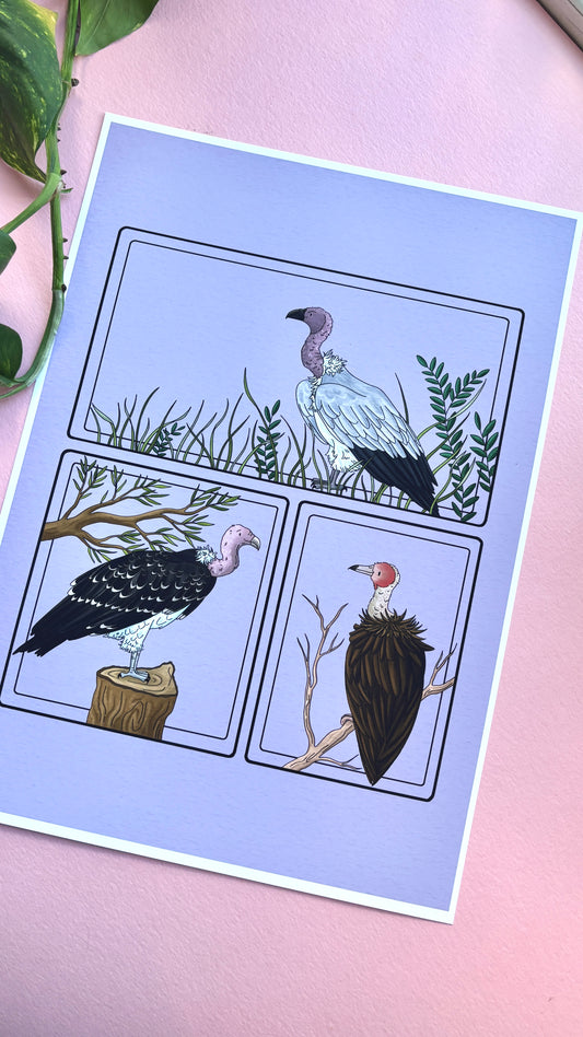 African Vulture Species Illustration Charity Art Print