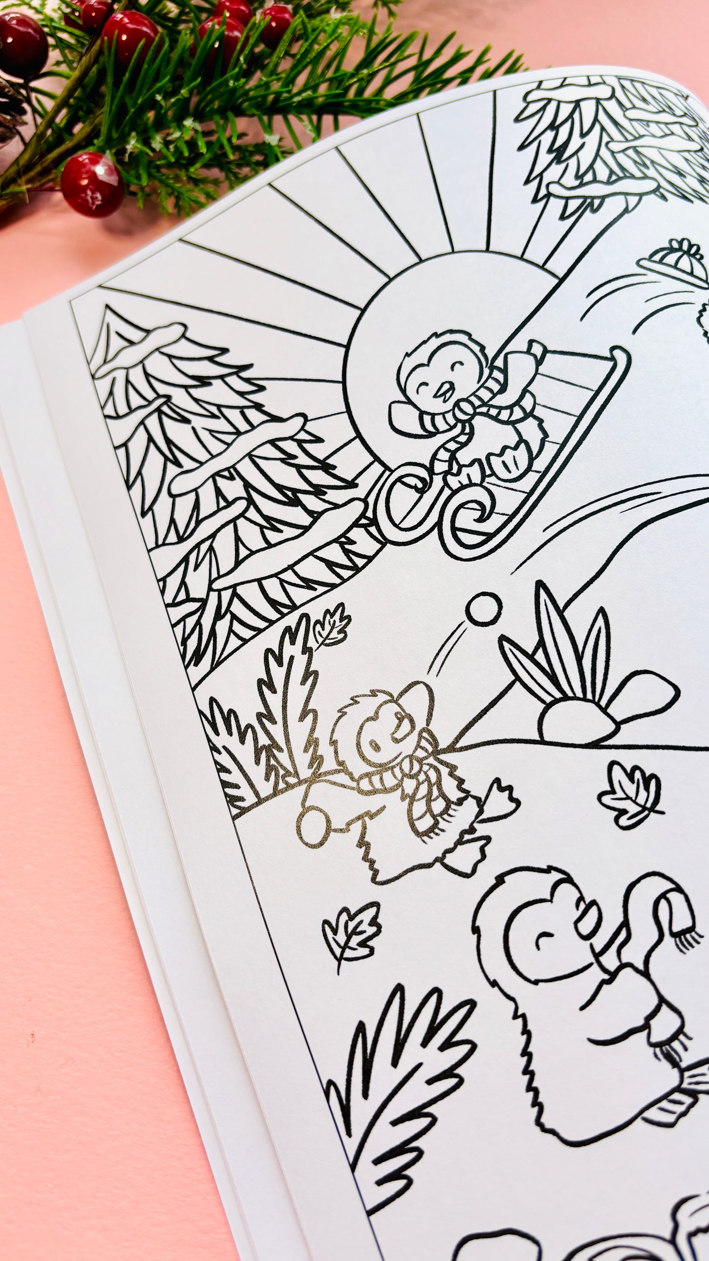 Twelve days of Christmas: a festive activity book