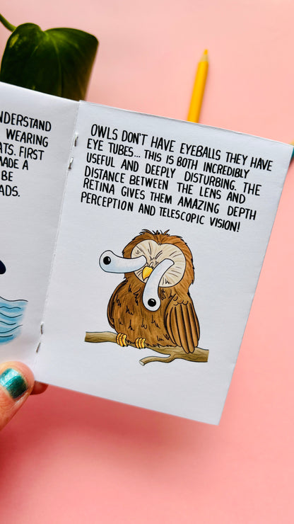 They WHAT Now!? A Weird and Wonderful Animal Zine
