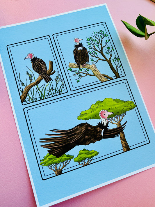 Robin the African Hooded Vulture Illustration Charity Art Print