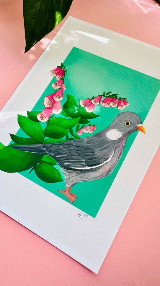 British wildlife pigeon art print for nature lovers. This cute print features an adorable wood pigeon in front of a bunch of pink foxglove plants. The perfect gift for nature lovers. 
