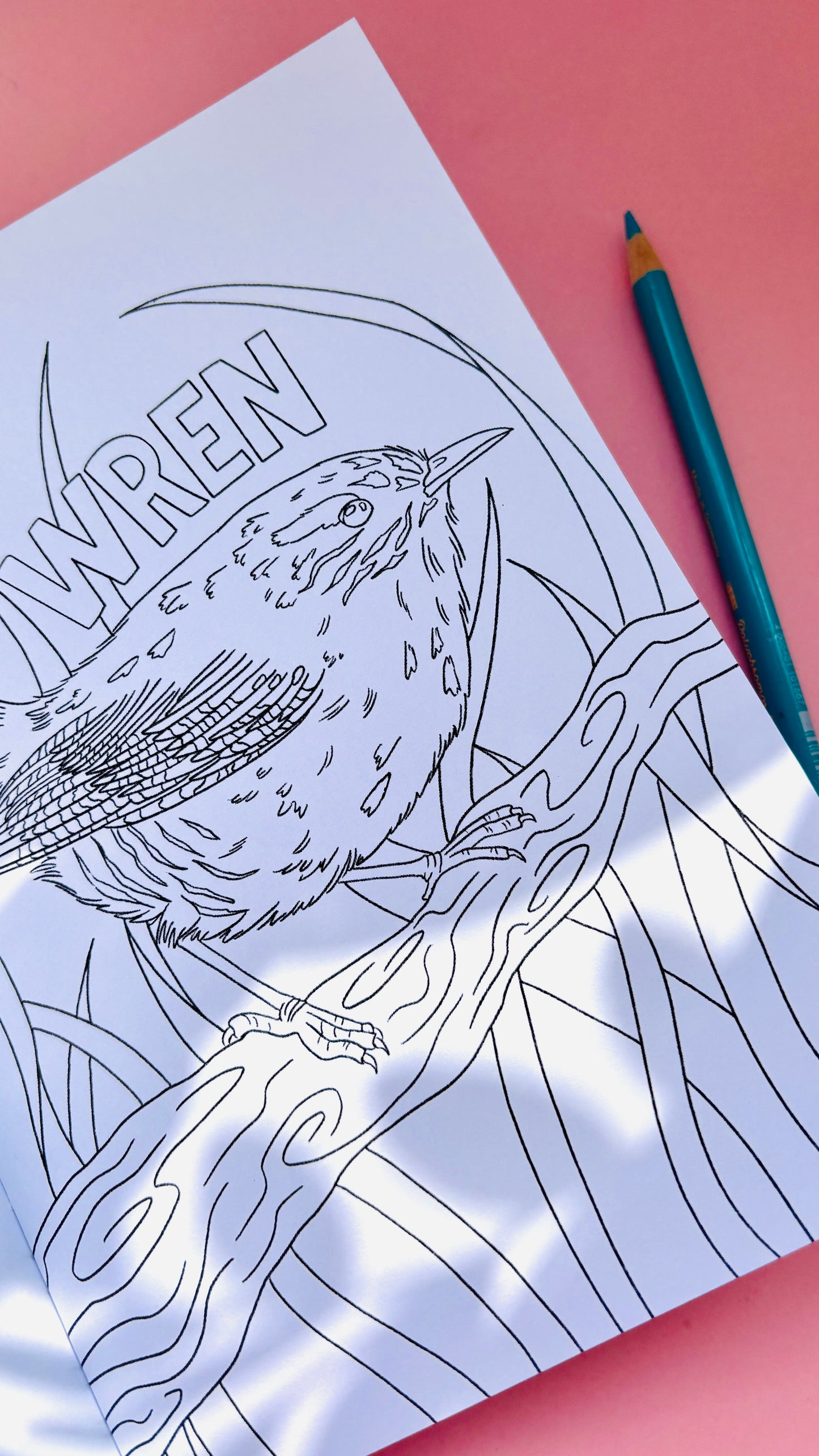 Garden Birds Colouring Book for Adults and Kids