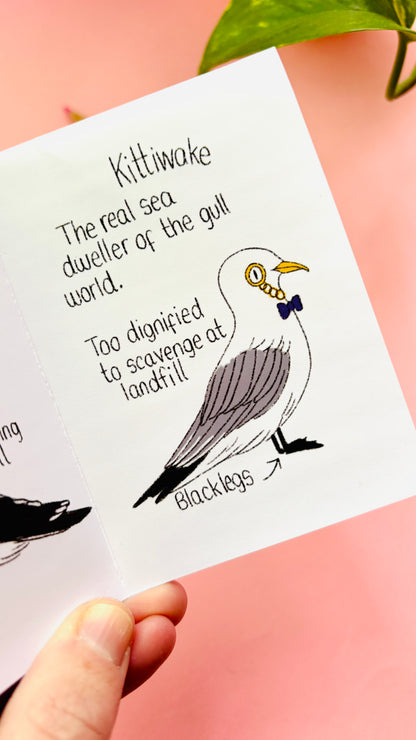 It’s not a seagull zine- a guide to common gulls of the UK