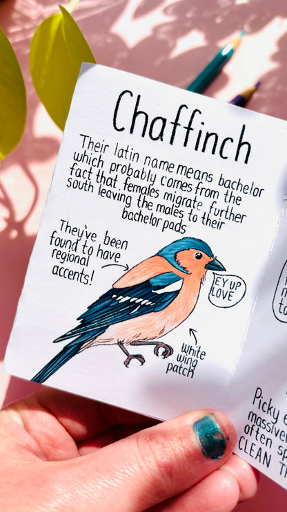 It’s not a finch zine- a funny guide to British birds