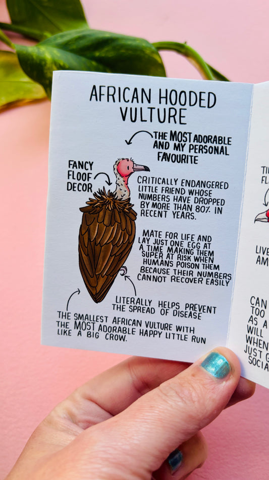 It’s not a Vulture charity zine- a guide to vultures