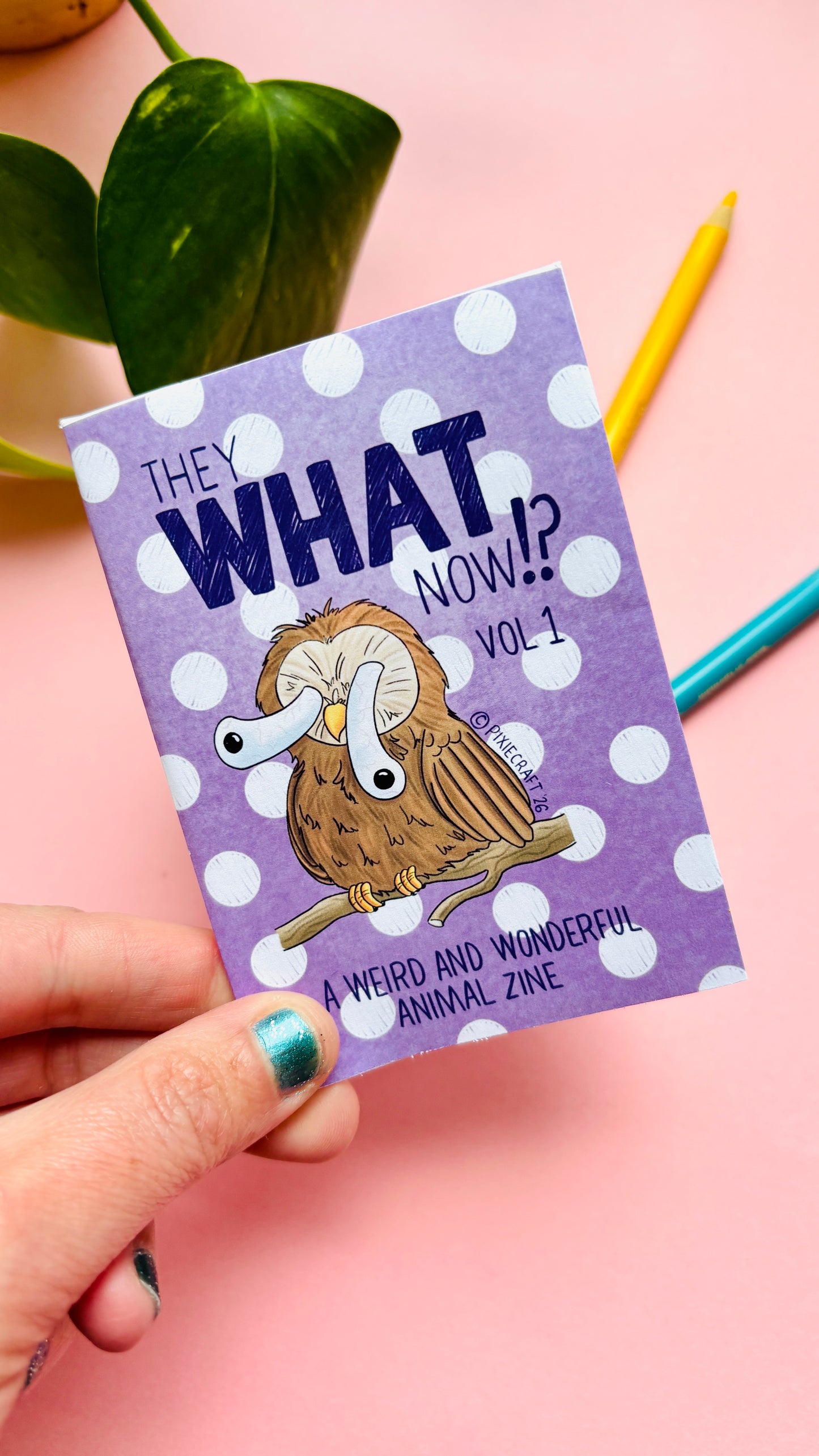 They WHAT Now!? A Weird and Wonderful Animal Zine