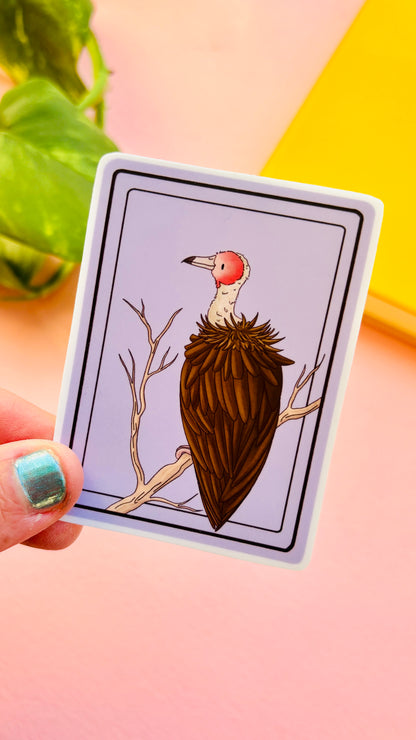 African Hooded Vulture Illustrated Waterproof Sticker- Nature Stationery