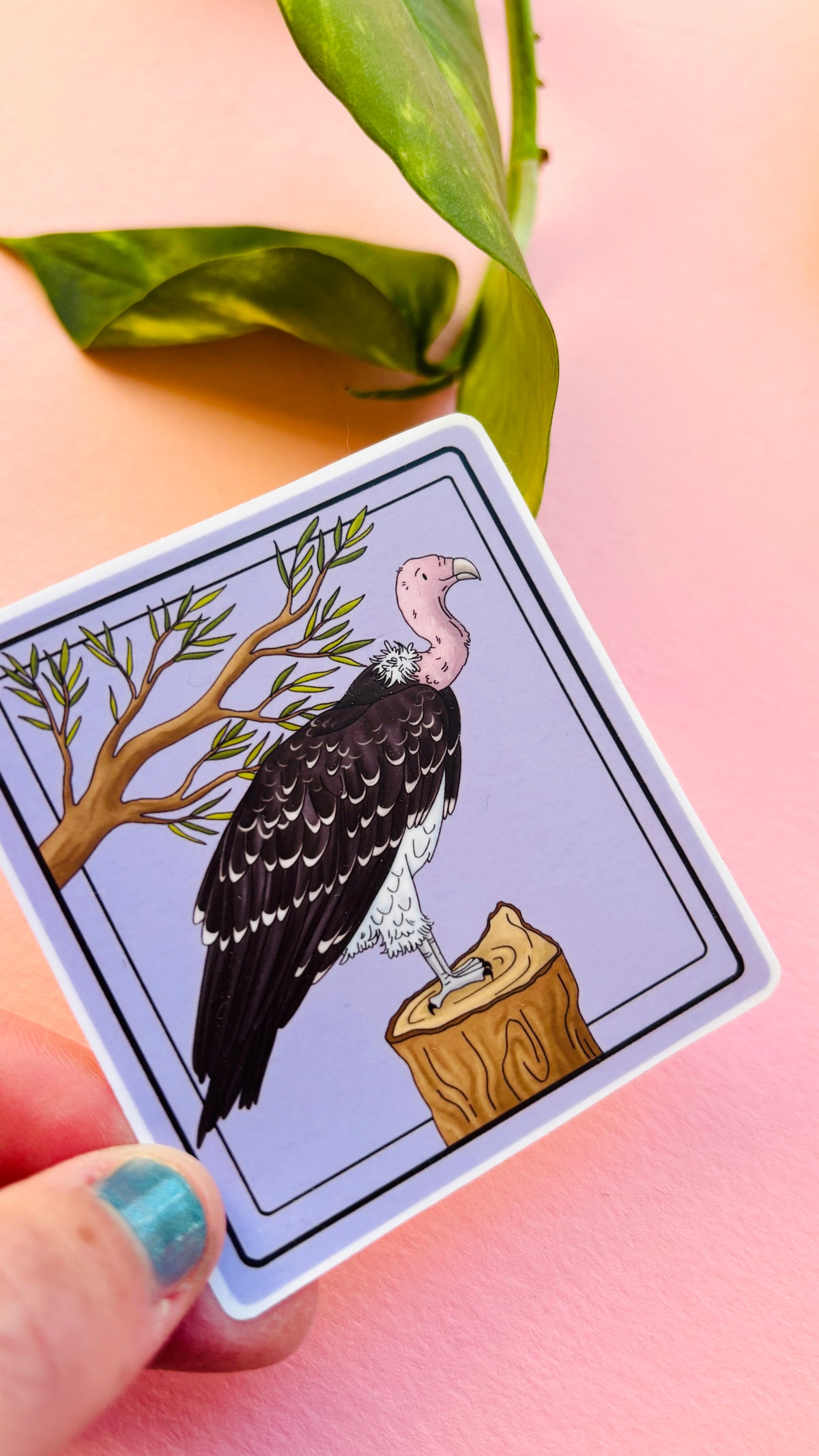 Rüppel’s Vulture Illustrated Waterproof Sticker- Nature Stationery