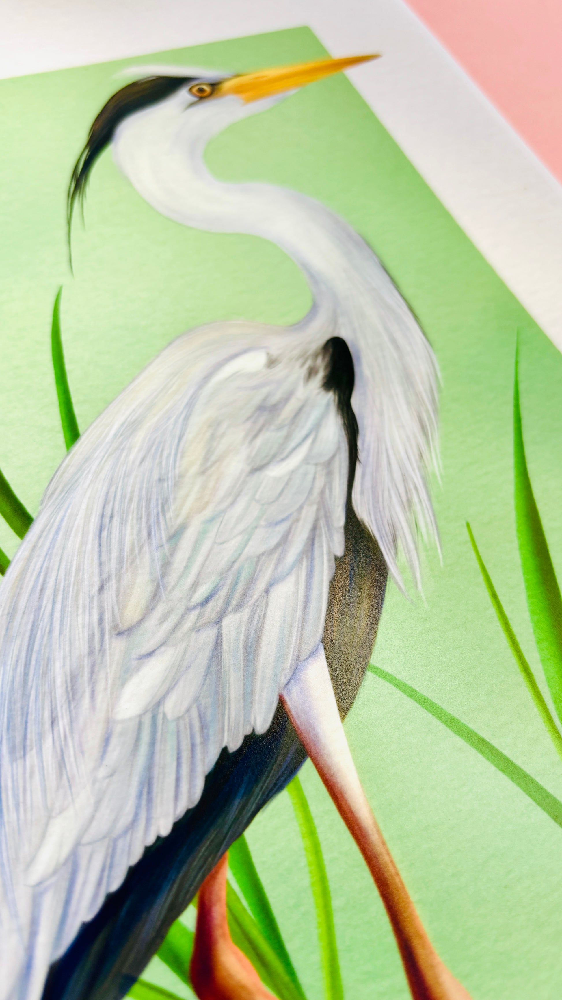 Heron art print. A beautiful hand drawn illustration of a grey heron stood between the reeds. Uk wildlife art for nature lovers and cottagecore home decor styles. Printed onto matte archival  paper in a3, a4, 5x7, 6x4