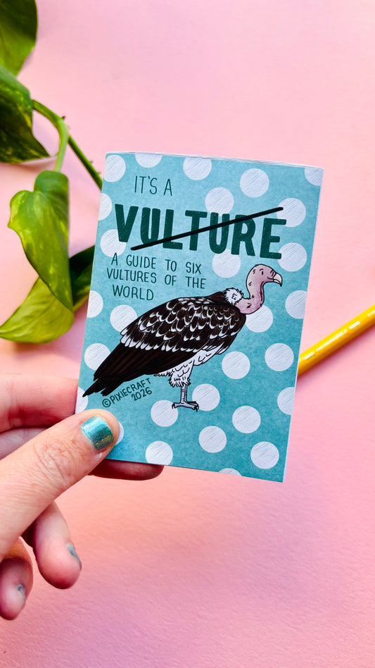 It’s not a Vulture charity zine- a guide to vultures