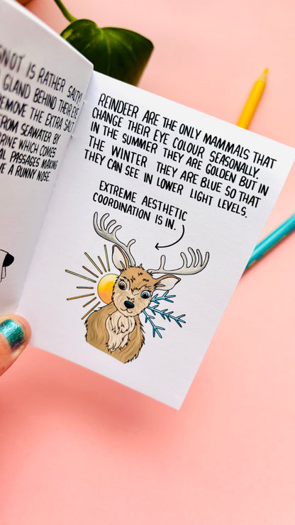 They WHAT Now!? A Weird and Wonderful Animal Zine