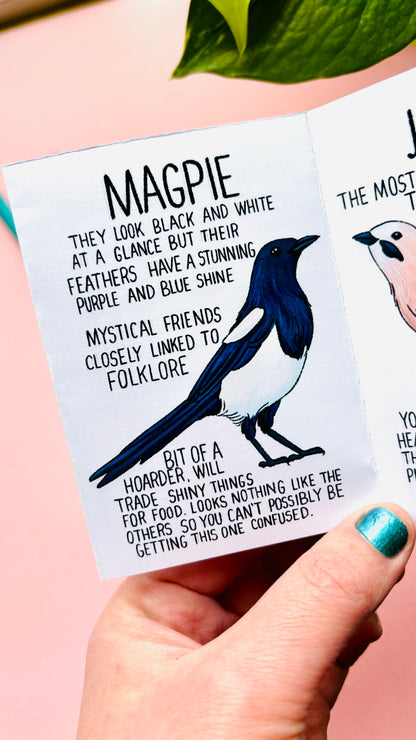 It’s not a crow zine- an illustrated guide to corvids of the UK