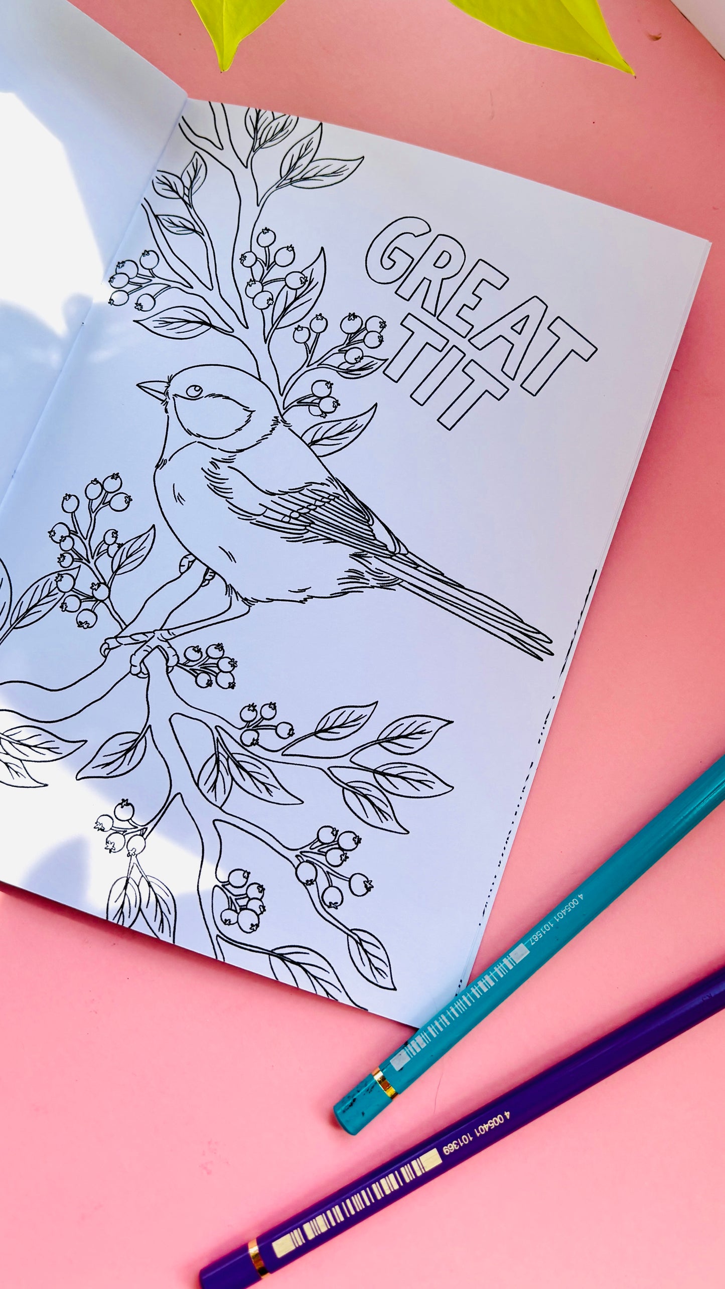 Garden Birds Colouring Book for Adults and Kids