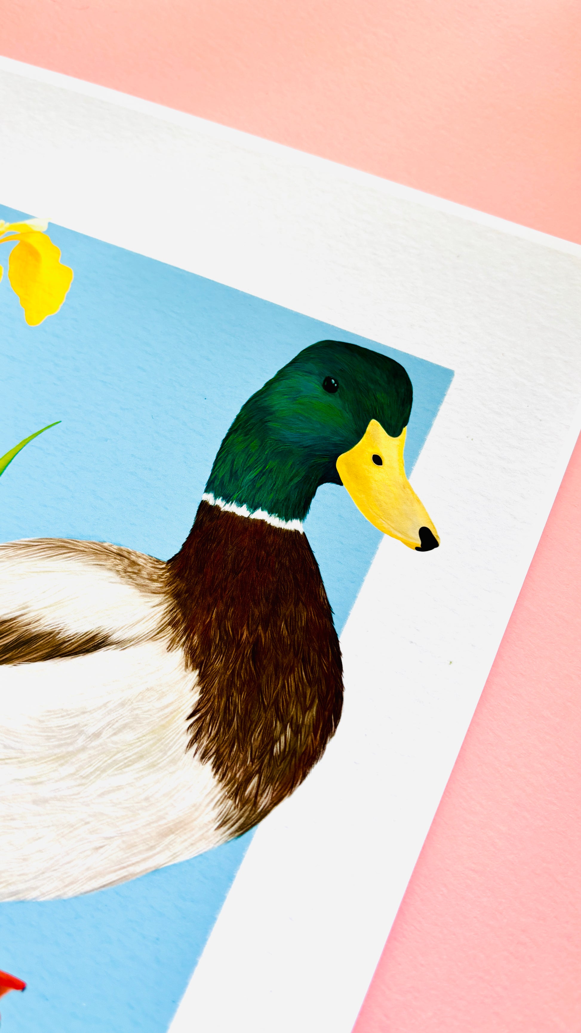 A detailed illustration of a mallard duck and vibrant yellow iris flower set against a vibrant blue background the duck art print is the perfect gift for nature lovers, fans of botanical art and cottagecore aesthetics.