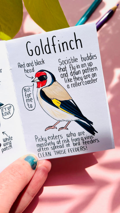 It’s not a finch zine- a funny guide to British birds