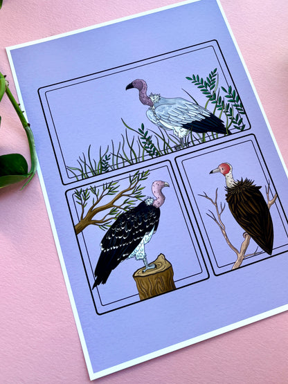 African Vulture Species Illustration Charity Art Print