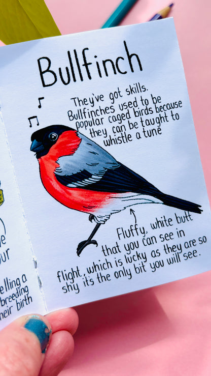 It’s not a finch zine- a funny guide to British birds
