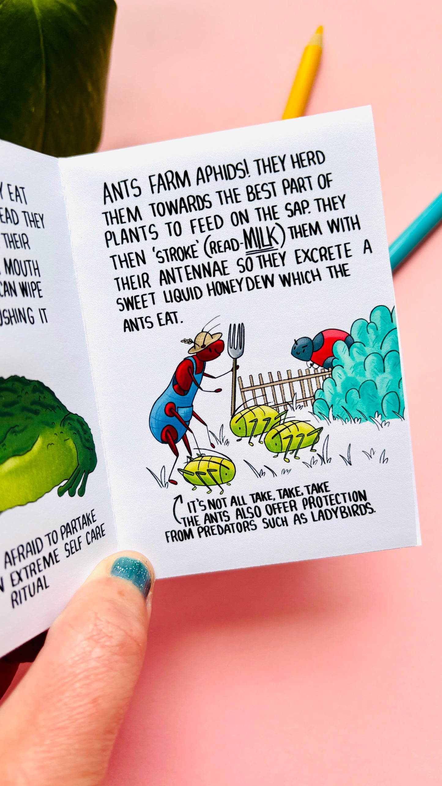 They WHAT Now!? A Weird and Wonderful Animal Zine