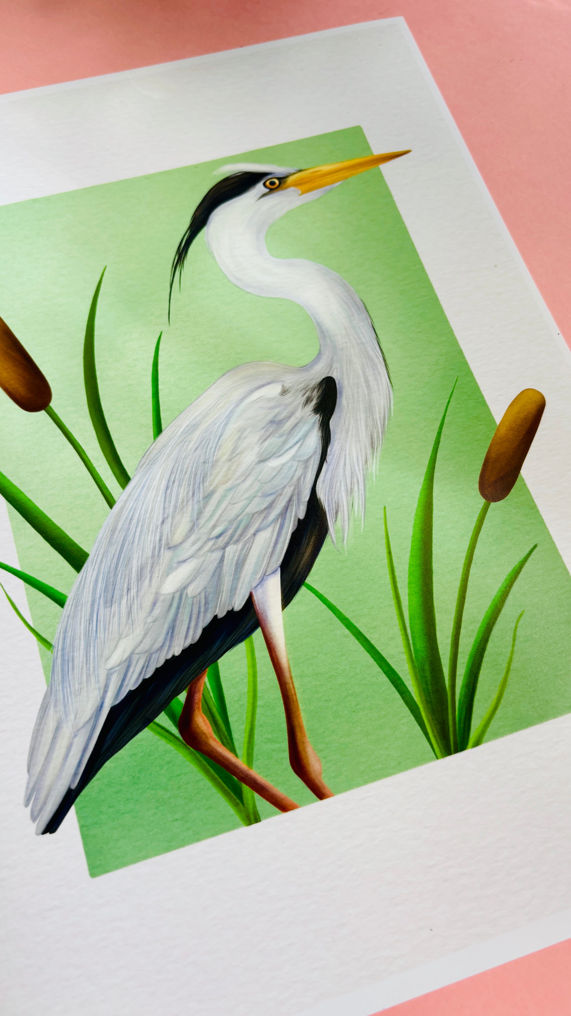 Heron art print. A beautiful hand drawn illustration of a grey heron stood between the reeds. Uk wildlife art for nature lovers and cottagecore home decor styles. Printed onto matte archival  paper in a3, a4, 5x7, 6x4