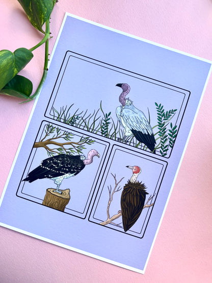 African Vulture Species Illustration Charity Art Print