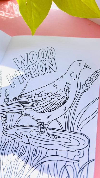 Garden Birds Colouring Book for Adults and Kids