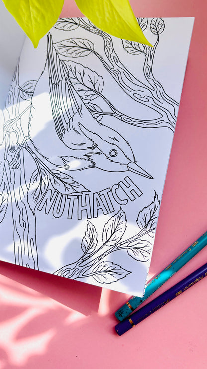 Garden Birds Colouring Book for Adults and Kids