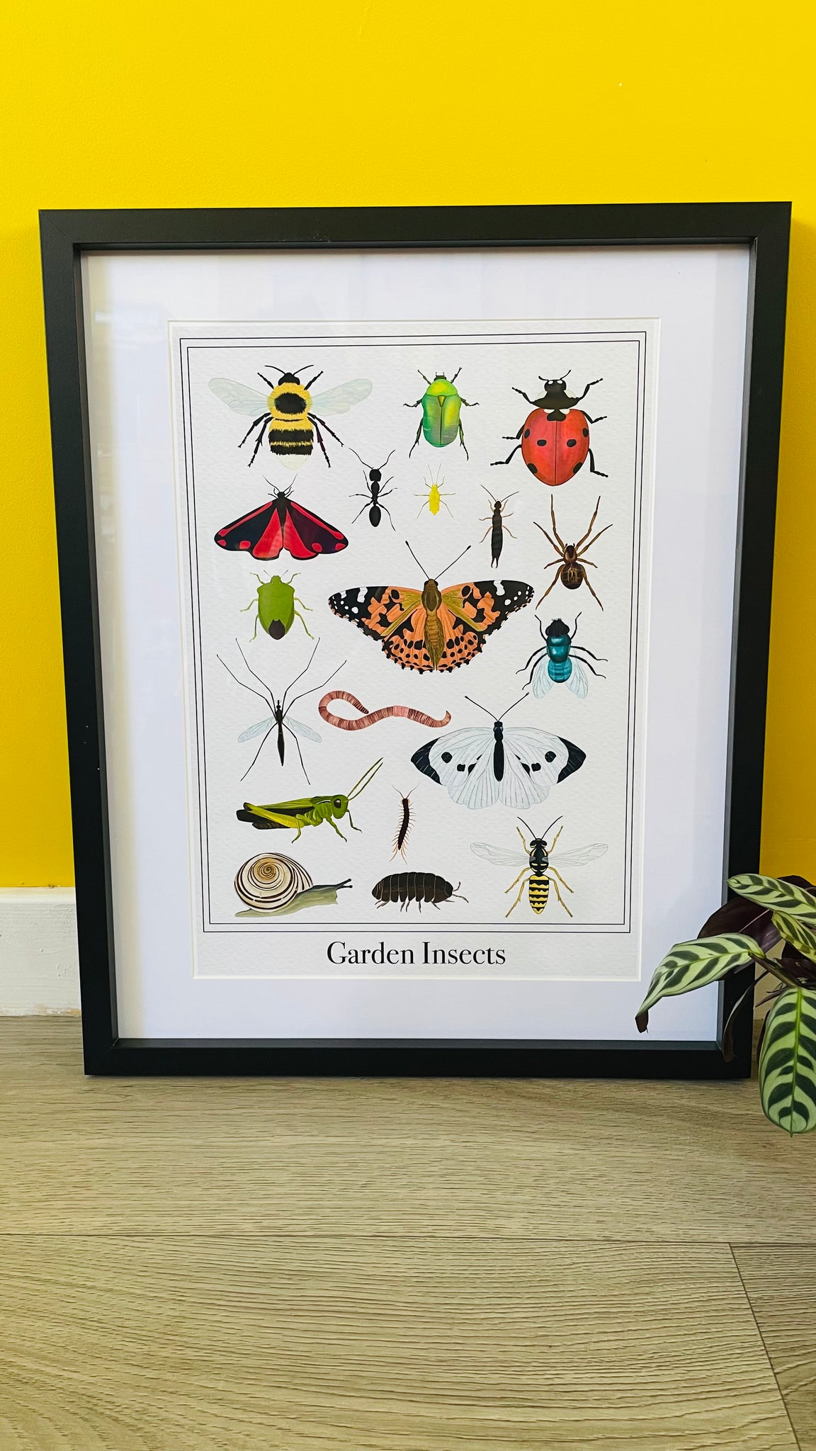 Art print featuring British garden insects