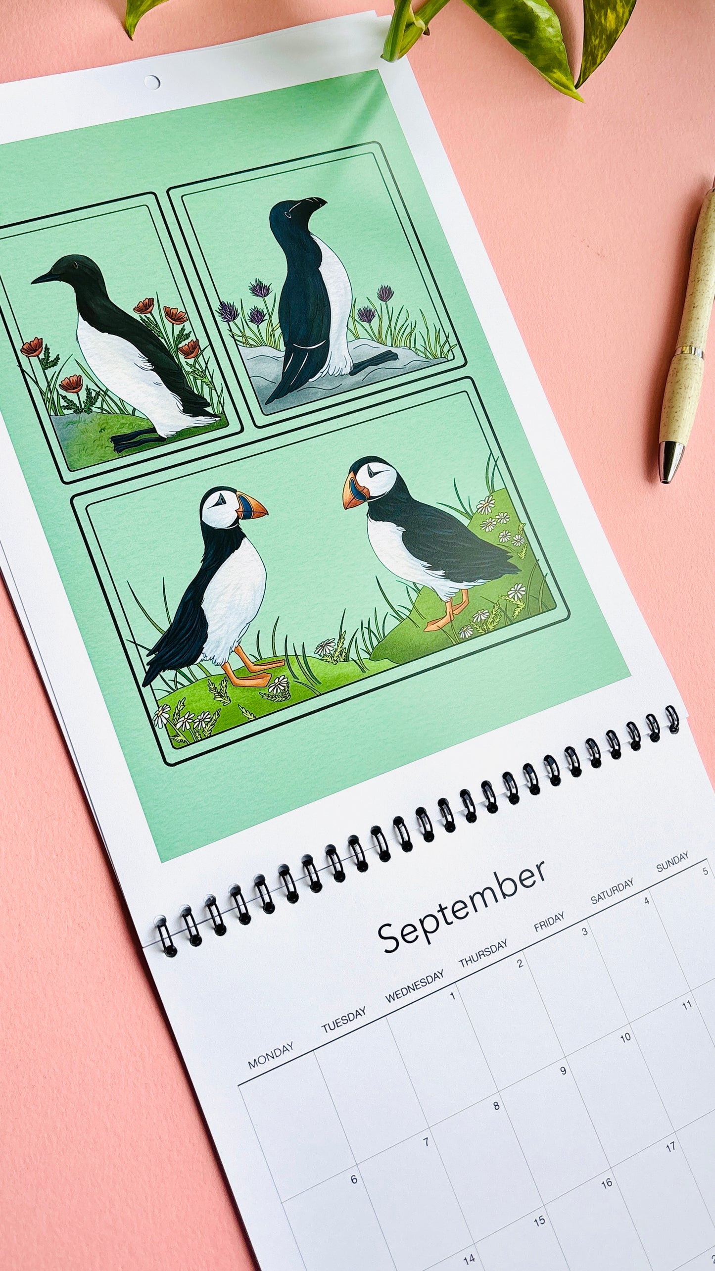     A4 wire bound British Birds 2027 calendar featuring colourful wildlife illustrations Of British auks