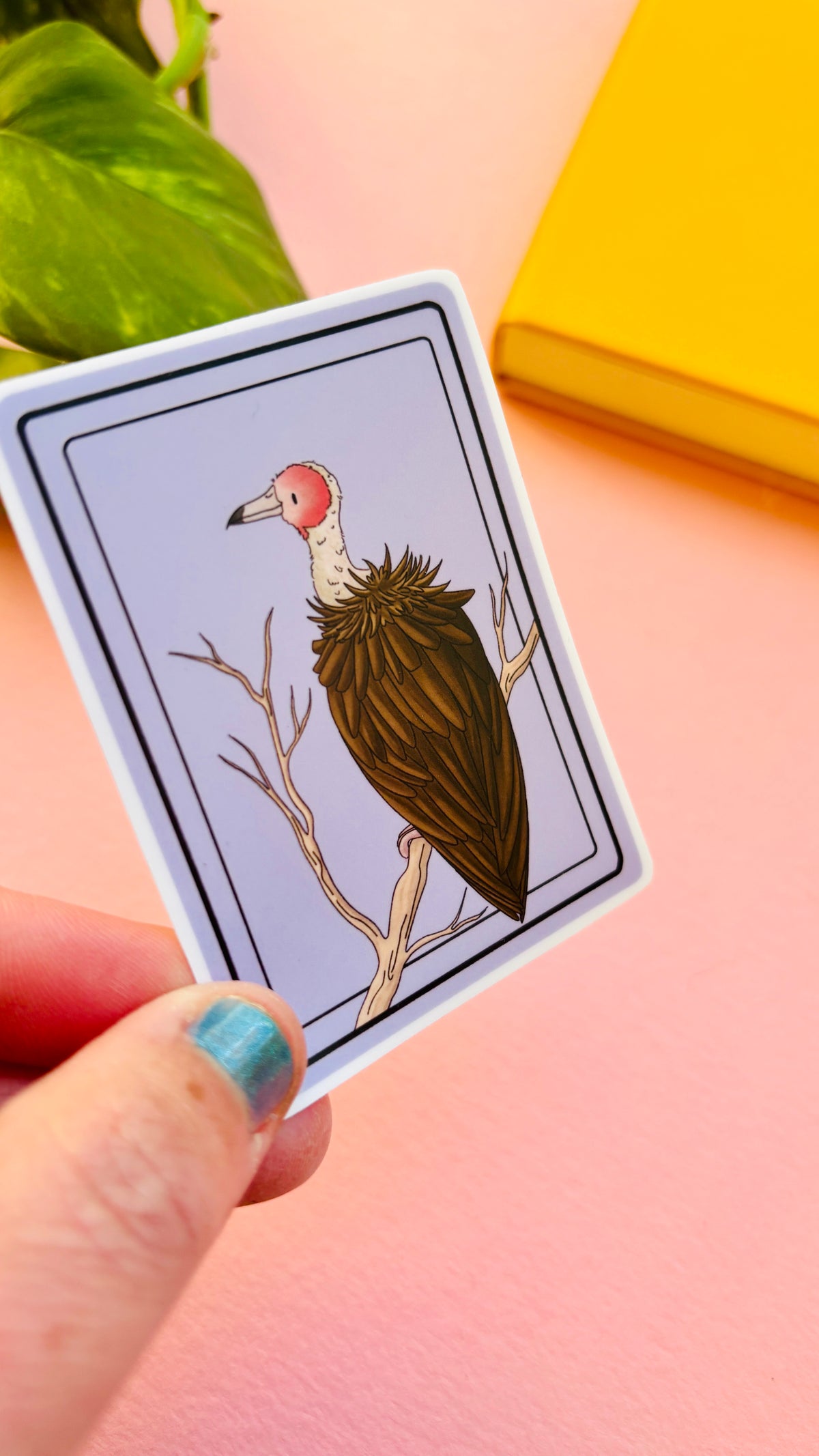 African Hooded Vulture Illustrated Waterproof Sticker- Nature Stationery