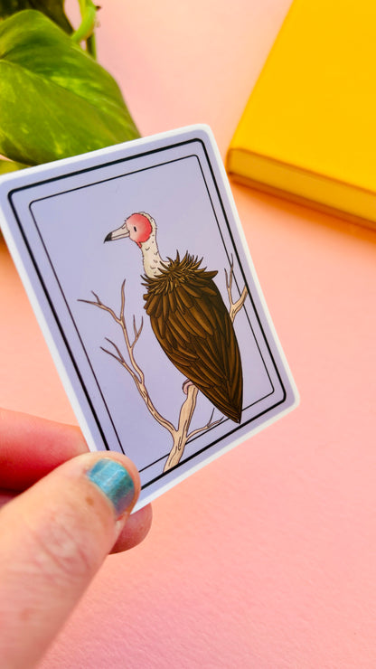 African Hooded Vulture Illustrated Waterproof Sticker- Nature Stationery