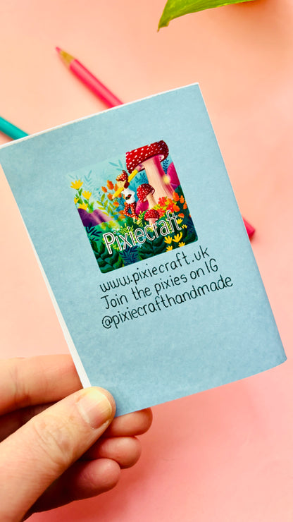 It’s not a seagull zine- a guide to common gulls of the UK