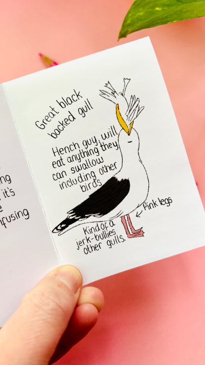 It’s not a seagull zine- a guide to common gulls of the UK