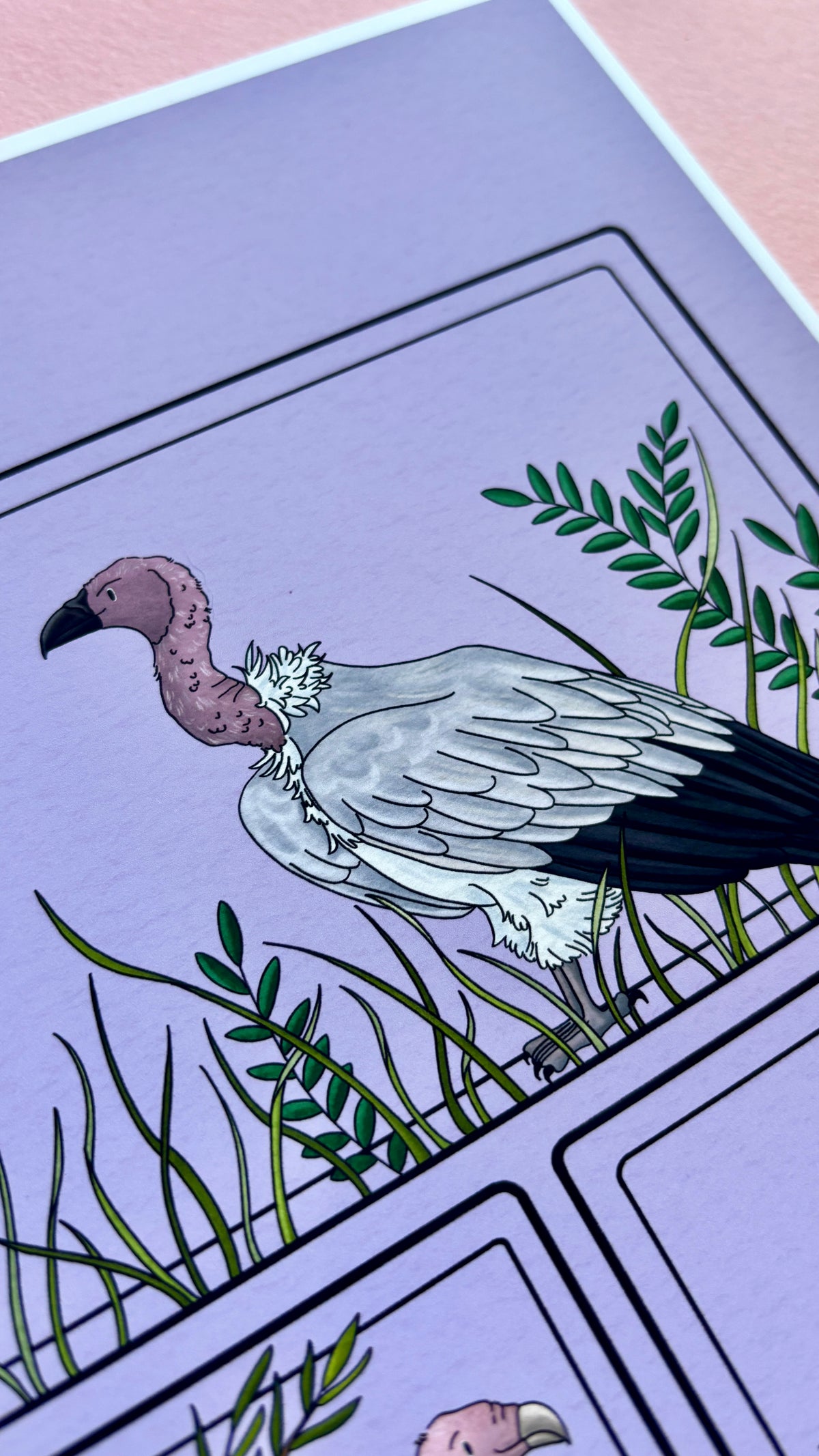 African Vulture Species Illustration Charity Art Print