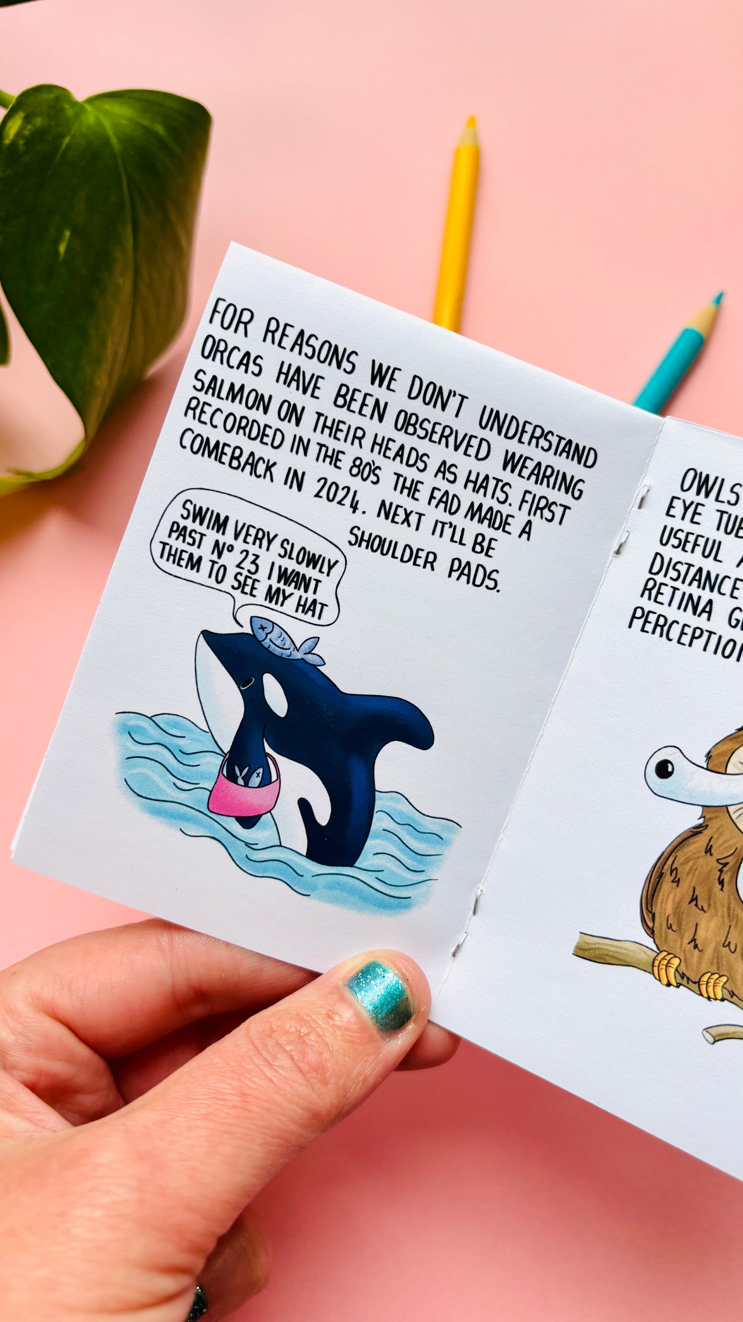 They WHAT Now!? A Weird and Wonderful Animal Zine