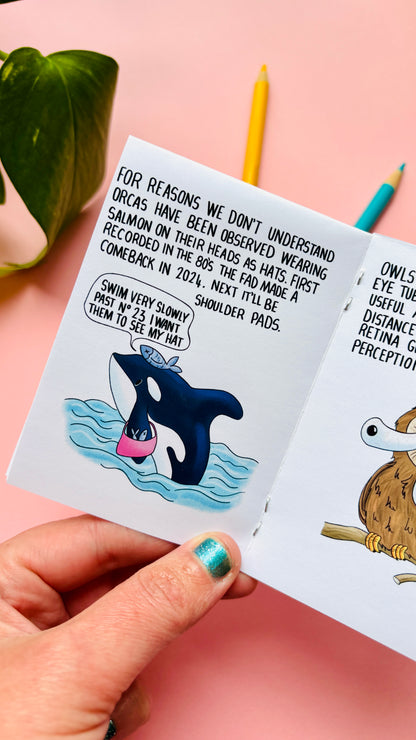 They WHAT Now!? A Weird and Wonderful Animal Zine
