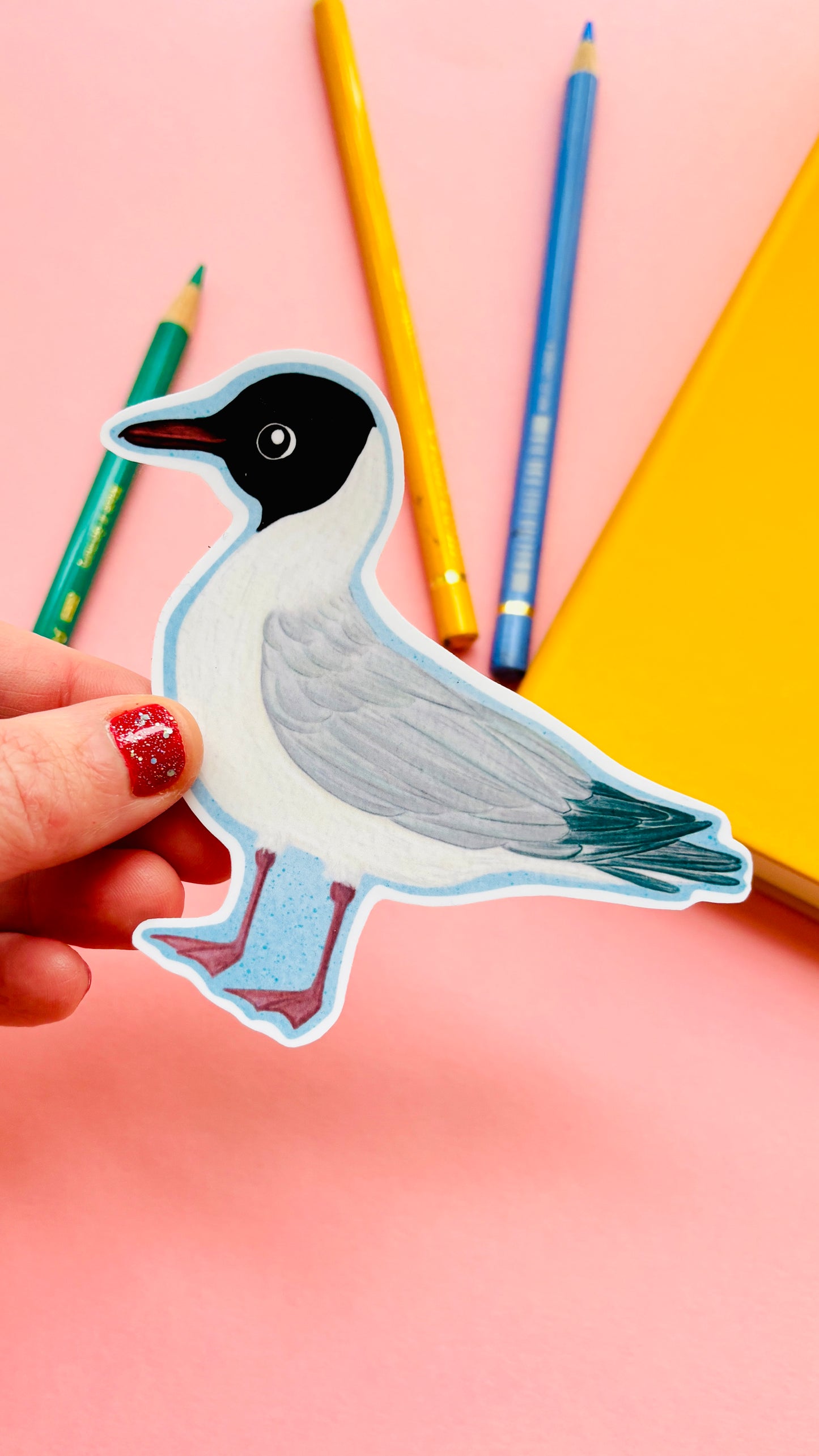 black headed gull seagull illustrated vinyl sticker