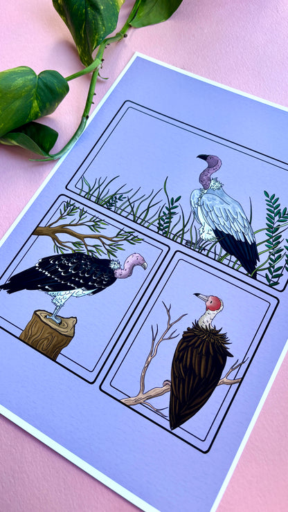 African Vulture Species Illustration Charity Art Print