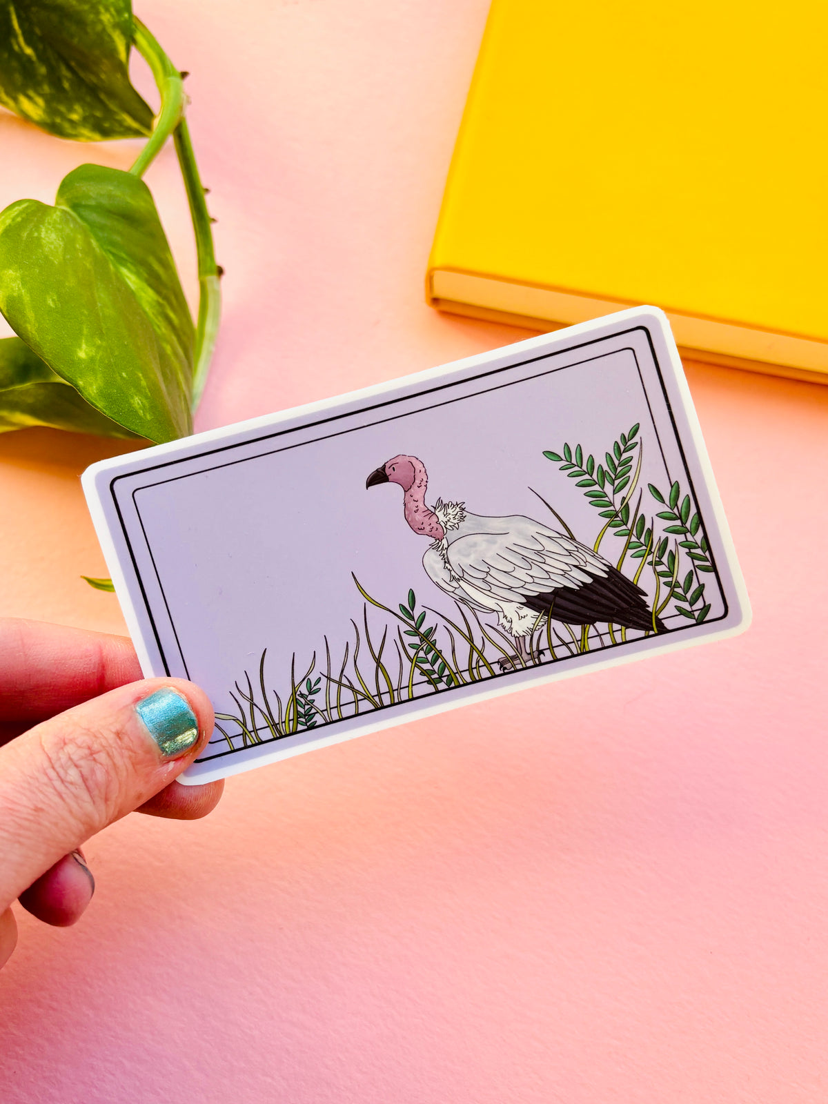 White Backed Vulture Illustrated Waterproof Sticker- Nature Stationery