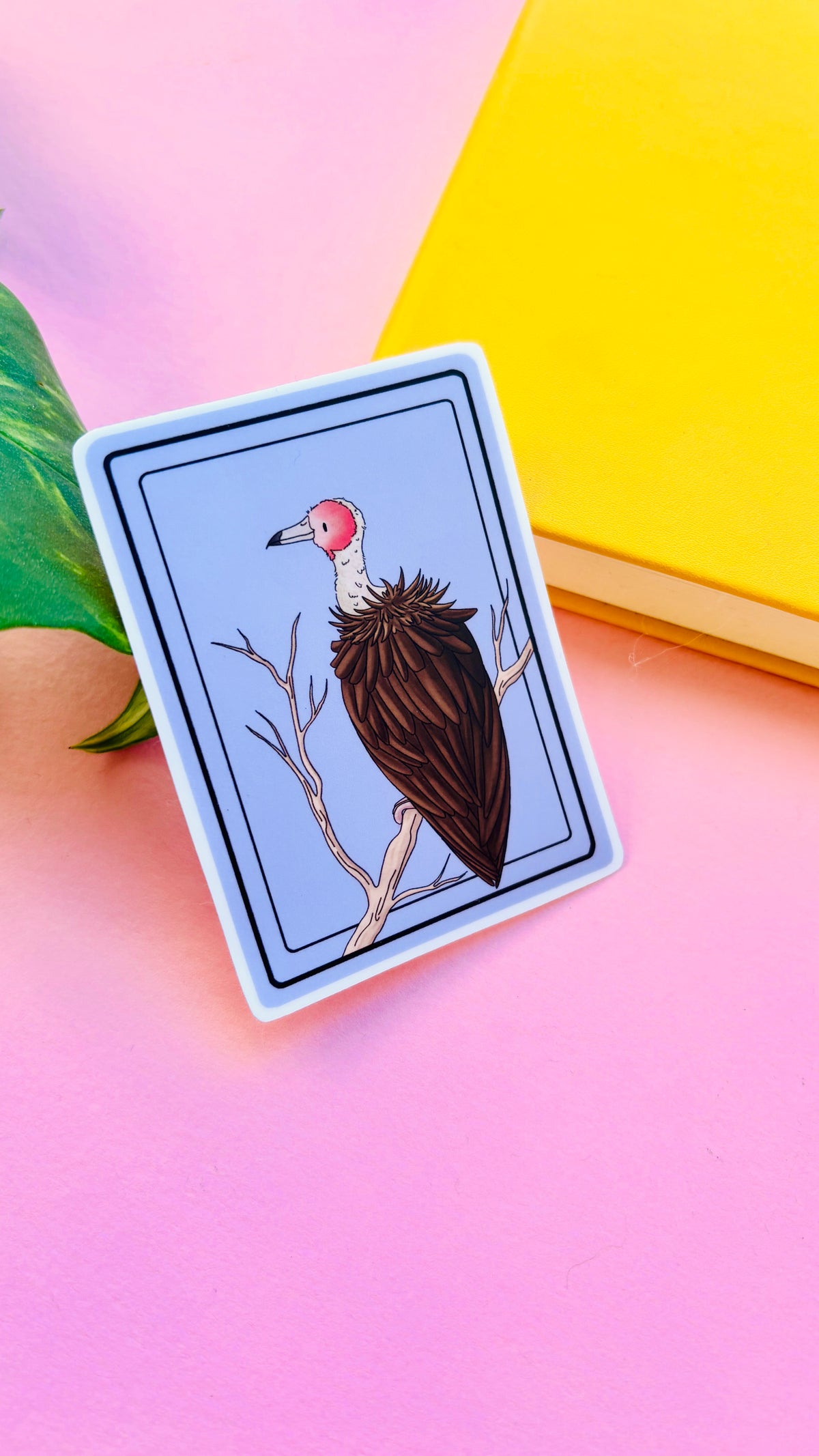 African Hooded Vulture Illustrated Waterproof Sticker- Nature Stationery