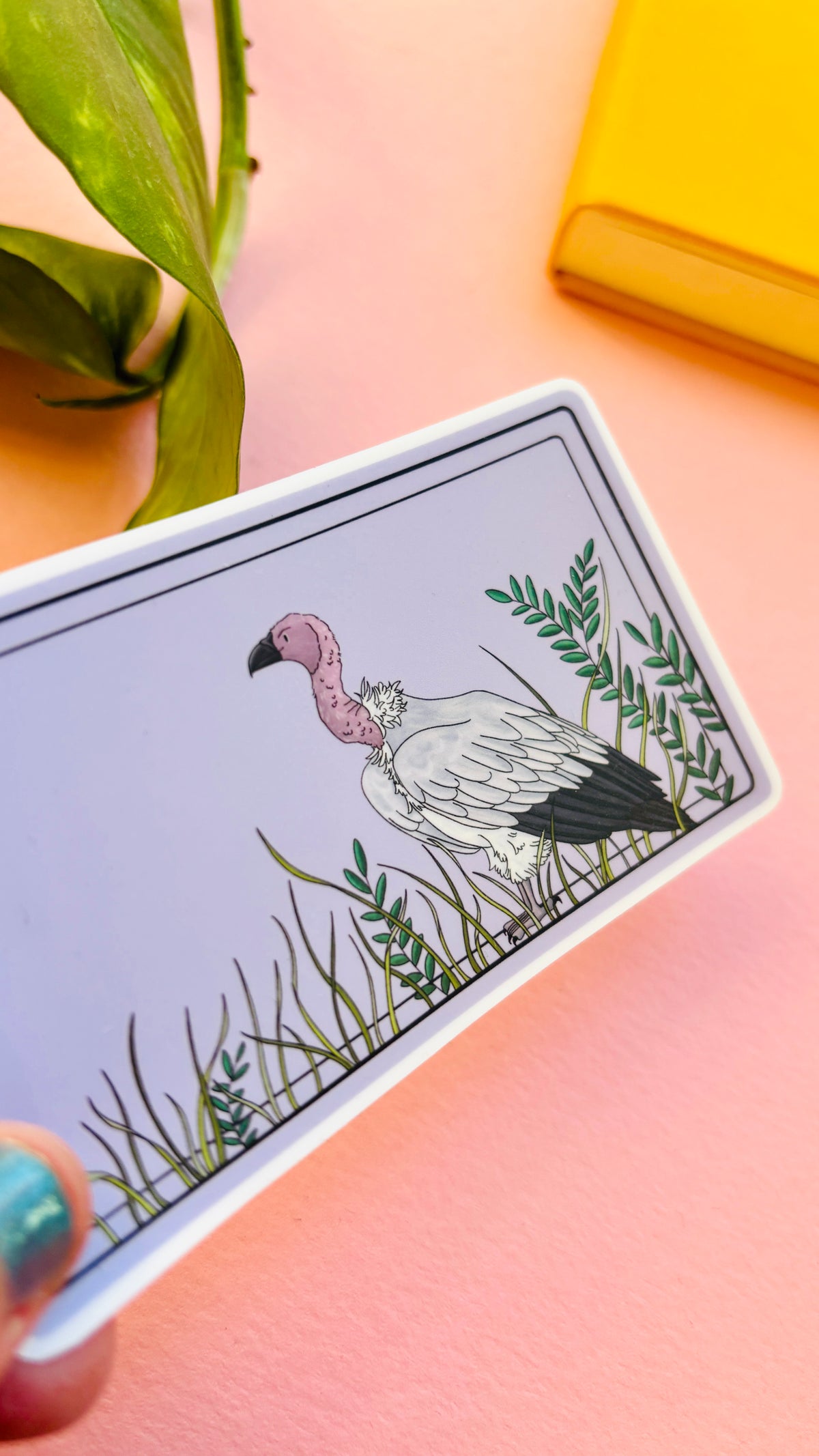 White Backed Vulture Illustrated Waterproof Sticker- Nature Stationery