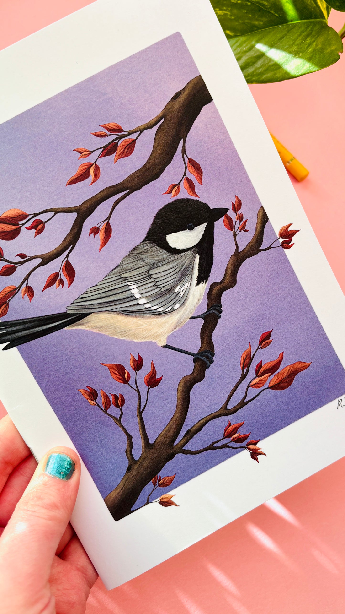 Close-up of coal tit illustration on purple notebook cover, showing detailed wildlife artwork