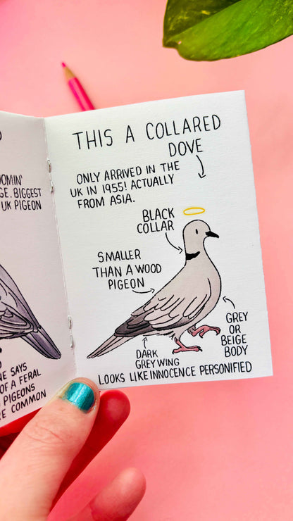 Artist Mini Zine- Illustrated in the UK