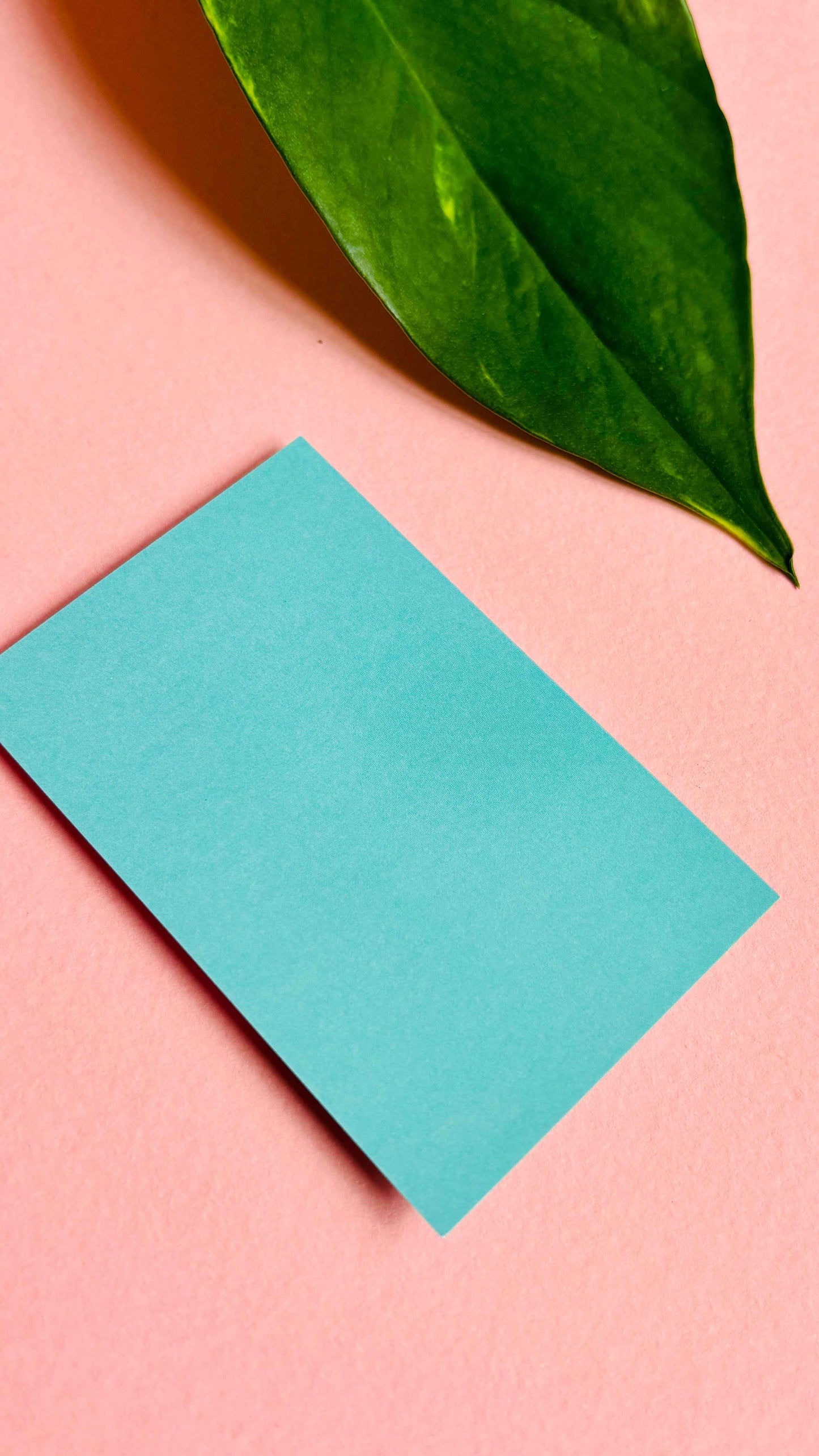 “Here for the Chips” Seagull Badge or Magnet