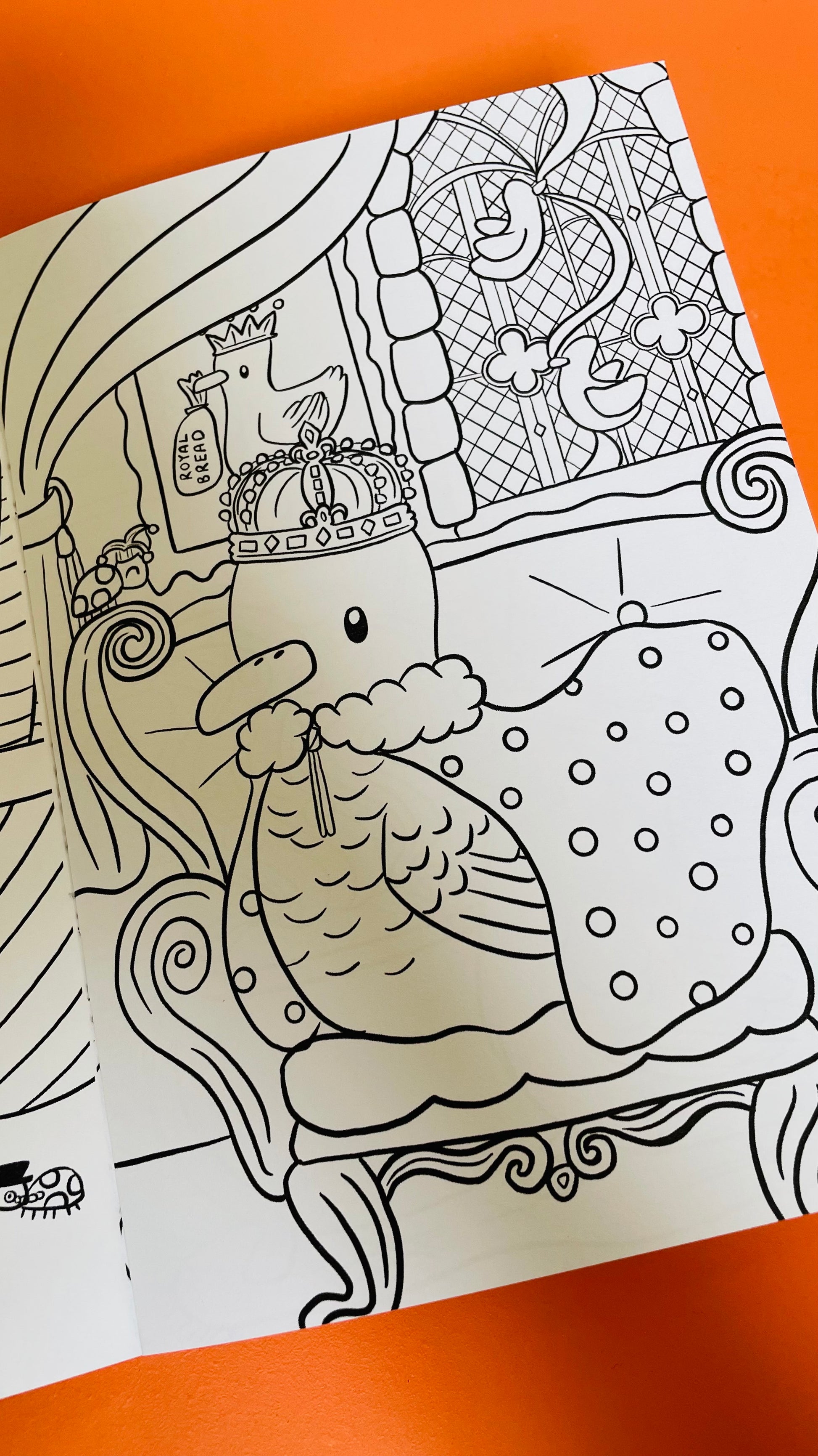 Dapper ducks illustrated colouring book