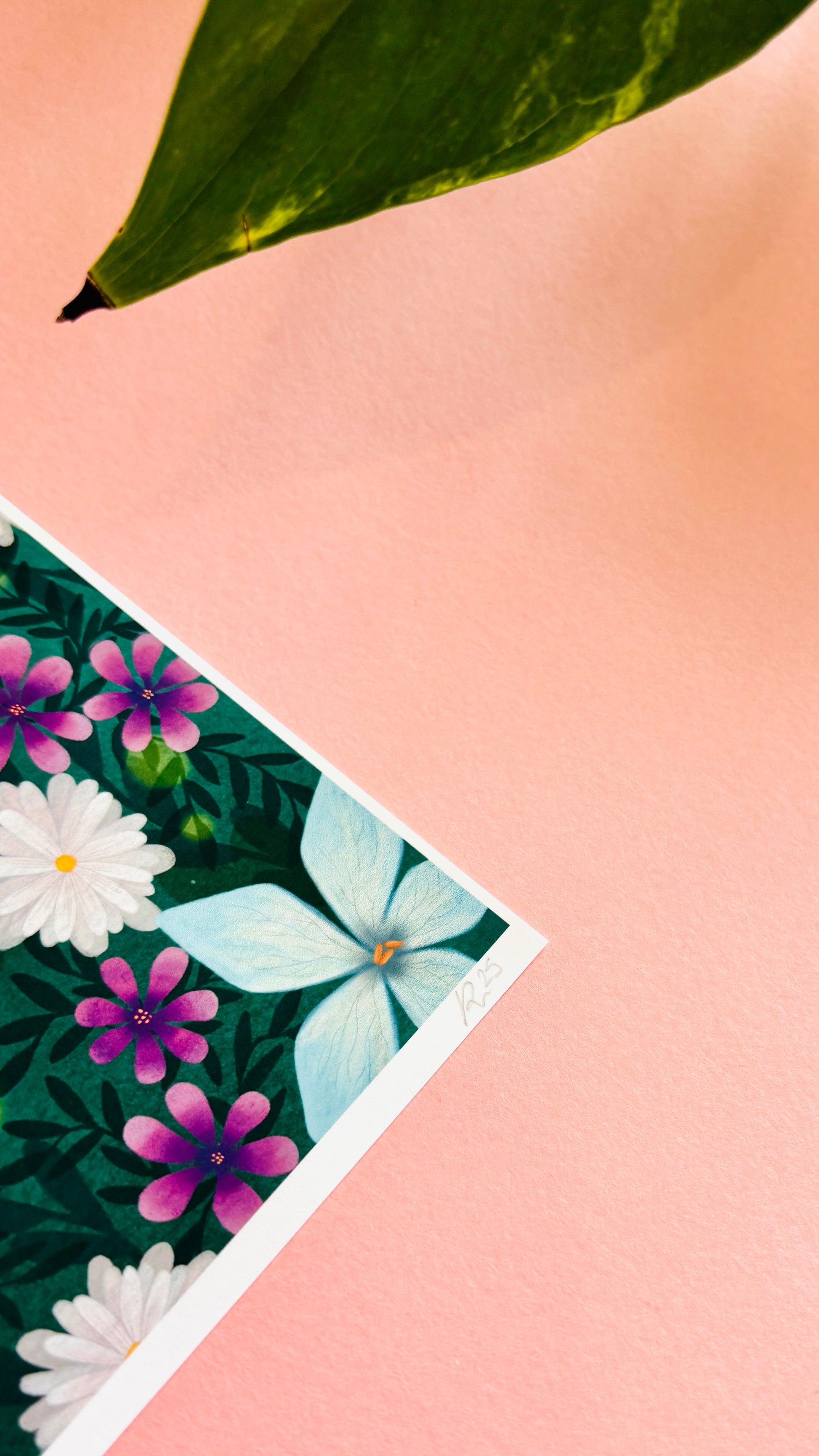 Colourful nature art print of a painted lady butterfly resting in a field of wildflowers. This beautiful illustration is perfect for lovers of nature, botanical illustration, wildflowers and cottagecore aesthetics. Illustrated and printed in the uk onto archival matte art paper and signed by the artist. 