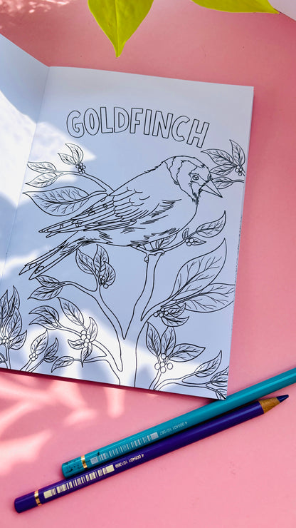 Garden Birds Colouring Book for Adults and Kids